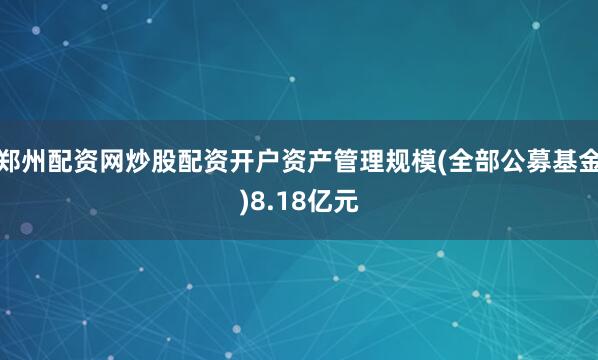 郑州配资网炒股配资开户资产管理规模(全部公募基金)8.18亿元